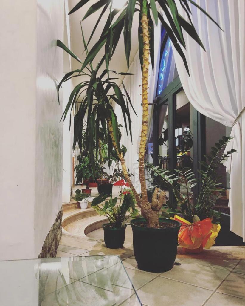 Albergo La Posta Arezzo Badia Al Pino Luaran gambar